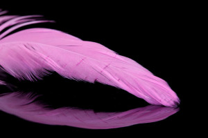 A.Jensen Schlappen Feathers - pink